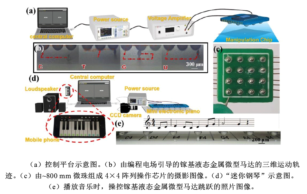 高壓放大器實(shí)驗(yàn)平臺(tái).png